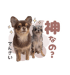うにちゃんと、ほたてくん。（個別スタンプ：8）