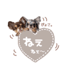 うにちゃんと、ほたてくん。（個別スタンプ：13）