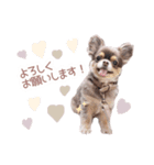 うにちゃんと、ほたてくん。（個別スタンプ：14）