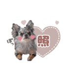 うにちゃんと、ほたてくん。（個別スタンプ：15）