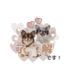 うにちゃんと、ほたてくん。（個別スタンプ：16）