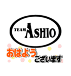 TEAM ASHIOスタンプ（個別スタンプ：5）