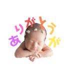 とっちゃん坊や。（個別スタンプ：1）