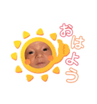 とっちゃん坊や。（個別スタンプ：3）