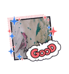 火炎鳥（個別スタンプ：6）