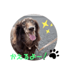 チョコの可愛いスタンプ①（個別スタンプ：6）