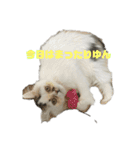 ゆんちゃんねる（個別スタンプ：4）