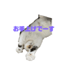 ゆんちゃんねる（個別スタンプ：19）