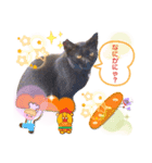 マルスFamily4 (Catバージョン)（個別スタンプ：7）