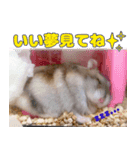 咲良のタカラモノ✨（個別スタンプ：2）