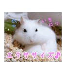 咲良のタカラモノ✨（個別スタンプ：3）