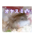咲良のタカラモノ✨（個別スタンプ：4）