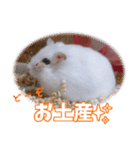 咲良のタカラモノ✨（個別スタンプ：5）