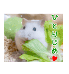 咲良のタカラモノ✨（個別スタンプ：6）