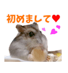 咲良のタカラモノ✨（個別スタンプ：7）