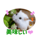 咲良のタカラモノ✨（個別スタンプ：8）
