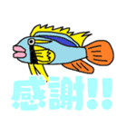 おさかなsp2（個別スタンプ：14）
