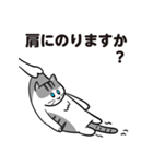 ひっぱられる猫たち その2（個別スタンプ：18）