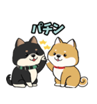 柴犬のりくん 文字入りスタンプ（個別スタンプ：2）