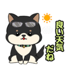 柴犬のりくん 文字入りスタンプ（個別スタンプ：11）