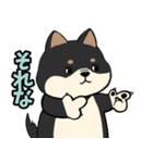 柴犬のりくん 文字入りスタンプ（個別スタンプ：23）