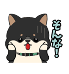 柴犬のりくん 文字入りスタンプ（個別スタンプ：26）