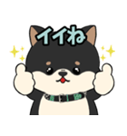 柴犬のりくん 文字入りスタンプ（個別スタンプ：31）