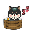 柴犬のりくん 文字入りスタンプ（個別スタンプ：38）