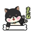 柴犬のりくん 文字入りスタンプ（個別スタンプ：39）