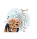 スーパーニートこてつ♀（個別スタンプ：3）