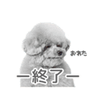 スーパーニートこてつ♀（個別スタンプ：7）