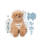 スーパーニートこてつ♀（個別スタンプ：8）