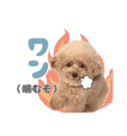 スーパーニートこてつ♀（個別スタンプ：10）