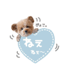スーパーニートこてつ♀（個別スタンプ：13）