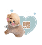 スーパーニートこてつ♀（個別スタンプ：15）