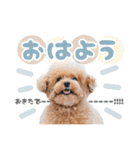 スーパーニートこてつ♀（個別スタンプ：22）