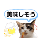 みけねこねこスタンプ2（個別スタンプ：14）