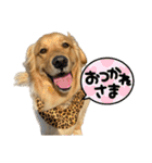 おでん様スタンプ②（個別スタンプ：3）