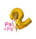 おでん様スタンプ②（個別スタンプ：10）