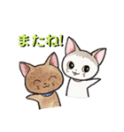 猫のチルコと仲間たち（個別スタンプ：38）