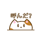 毎日使えなさそうな猫スタンプ（個別スタンプ：23）