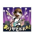 猫、人、風景、宝物（個別スタンプ：1）