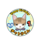 猫、人、風景、宝物（個別スタンプ：4）