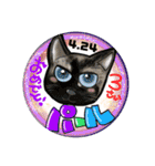 猫、人、風景、宝物（個別スタンプ：5）