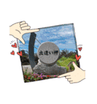 猫、人、風景、宝物（個別スタンプ：11）