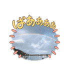 猫、人、風景、宝物（個別スタンプ：19）