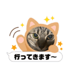 猫、人、風景、宝物（個別スタンプ：23）