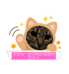 猫、人、風景、宝物（個別スタンプ：26）