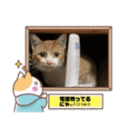 猫、人、風景、宝物（個別スタンプ：30）