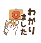 とびだす！ゆるかわにゃんこズ(太文字)（個別スタンプ：10）